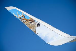 Photo: Airbus