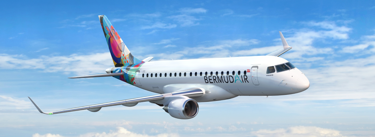 airlinegeeks.com
