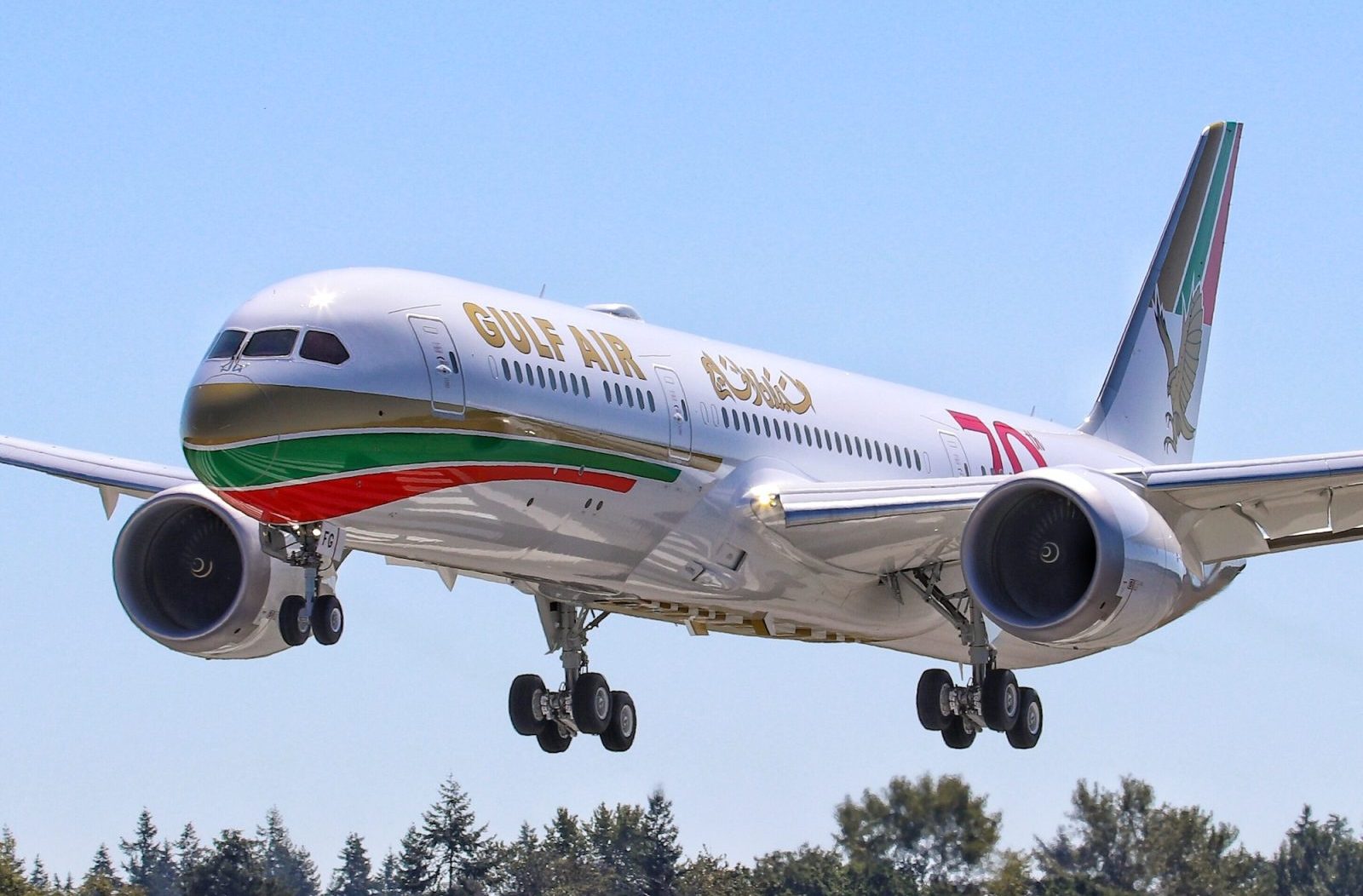 A Gulf Air 787