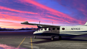 Kenai Aviation