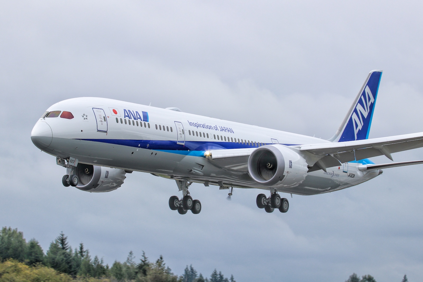 ANA 787