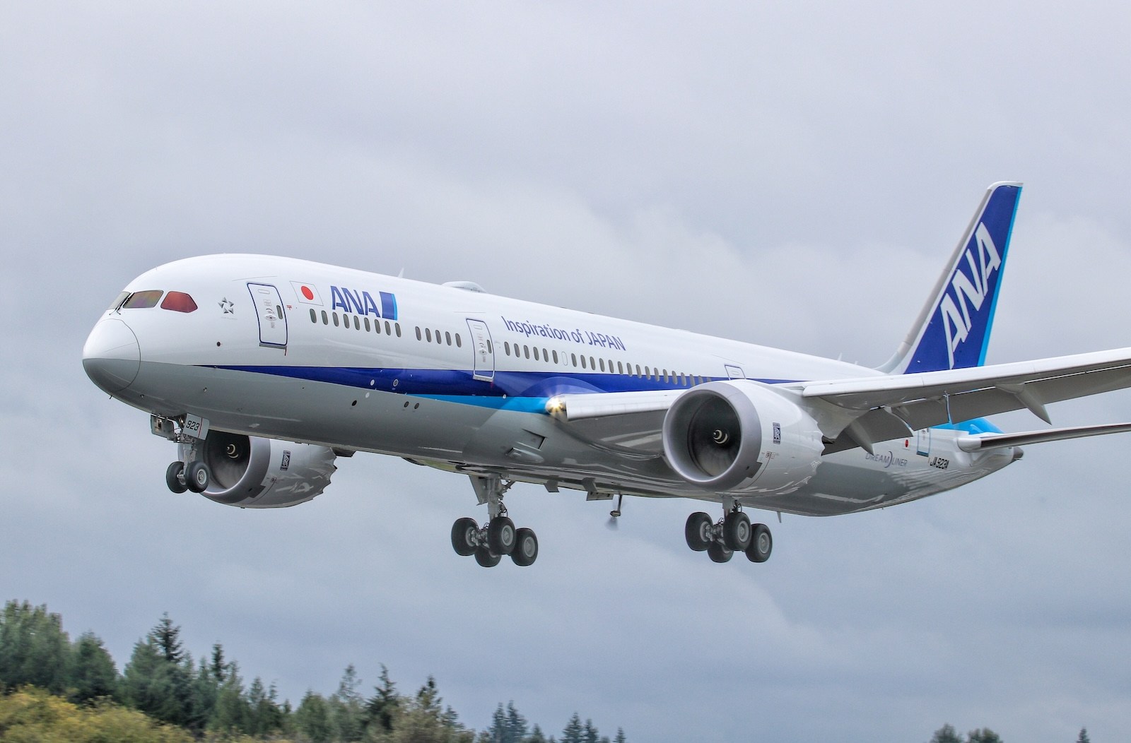 ANA 787