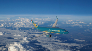A rendering of a Vietnam Airlines 737 MAX.